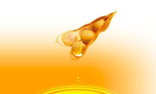 豆油期貨波動一個點多少錢？豆油期