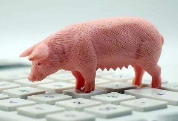 生豬期貨是什么？做一手生豬期貨最